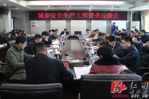 邓广雁深入城步督查脱贫攻坚和安全生产工作(图1)