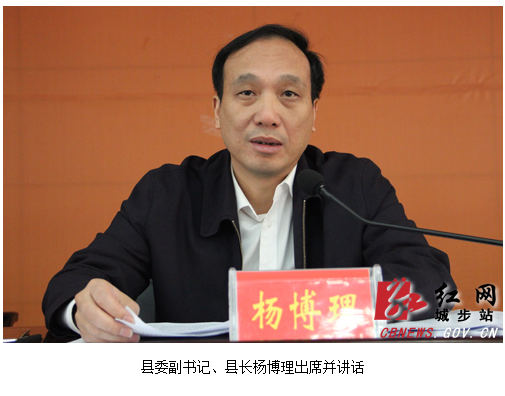 城步全面部署脱贫攻坚和卫生健康工作(图2)