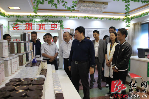 陈向群在城步调研湖南南山国家公园体制试点时强调坚持保护为先、管理为重、发展为要(图3)