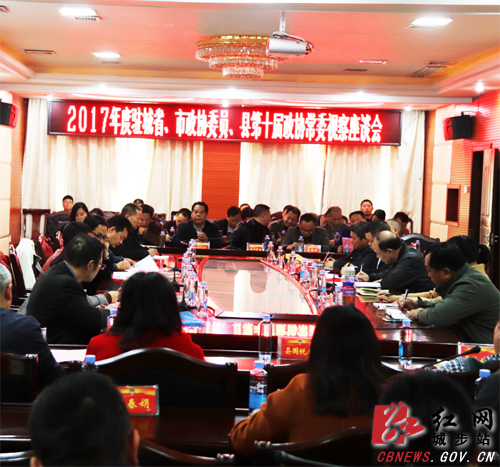 城步政协委员开展集中视察聚焦实体经济和产业发展(图5)