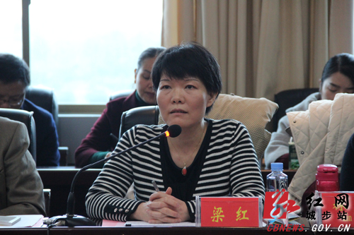 联合国驻华系统调研城步脱贫减贫工作(图9)