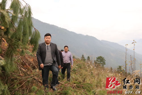 方凯深入兰蓉乡考察苗香梨种植产业(图2)