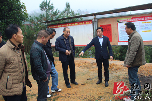 杨映林深入儒林镇督查基层党建和脱贫攻坚工作(图1)