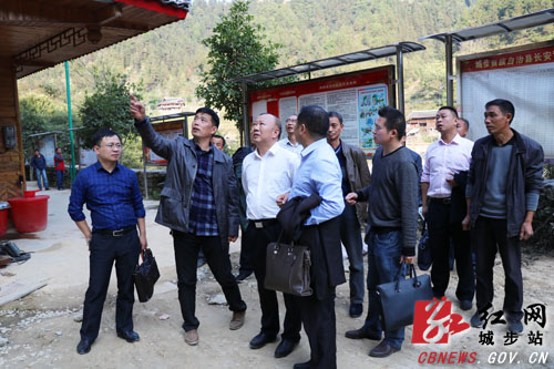 罗建南深入长安营镇宣讲党的十九大精神(图4)