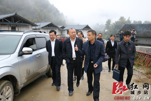 罗建南深入五团镇调研脱贫攻坚等工作(图4)