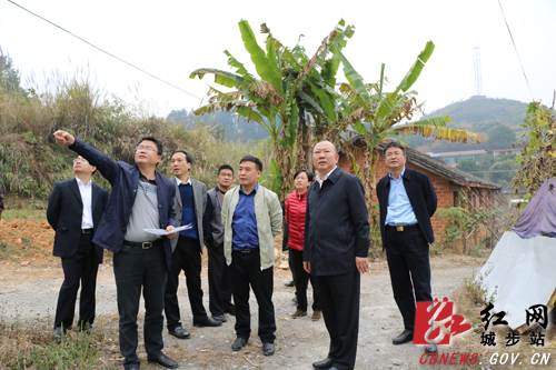 罗建南调研白云洞公园景区项目选址工作(图4)