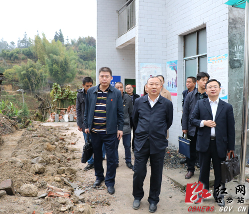 罗建南深入五团镇调研脱贫攻坚等工作(图1)