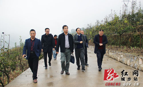 省政府脱贫攻坚专项检查组深入城步督查(图1)