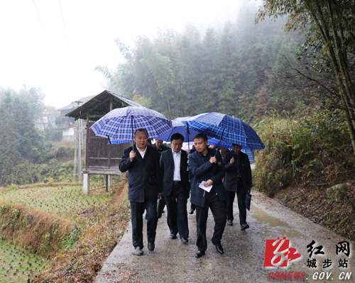 罗建南深入五团镇调研脱贫攻坚等工作(图2)