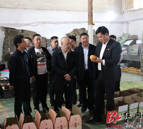 通道县组织部来城步学习交流工作(图1)