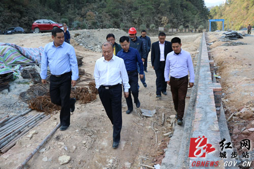 罗建南深入长安营镇宣讲党的十九大精神(图6)