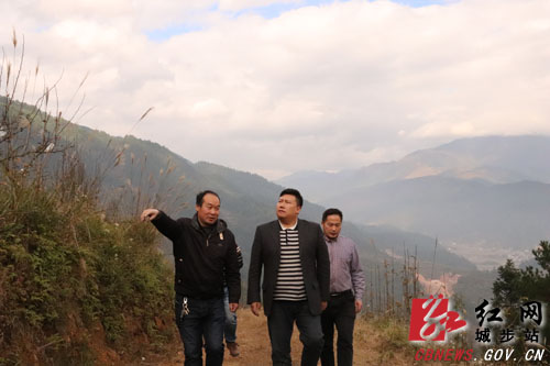 方凯深入兰蓉乡考察苗香梨种植产业(图1)