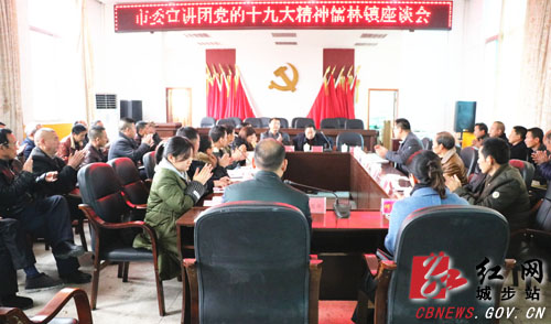 邵阳市委宣讲团深入儒林镇宣讲十九大精神(图1)