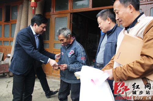 杨映林深入儒林镇督查基层党建和脱贫攻坚工作(图2)