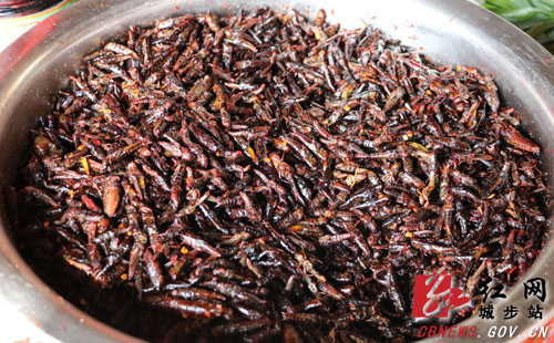 城步桂花村瑶族酒粑节醉游客(图5)