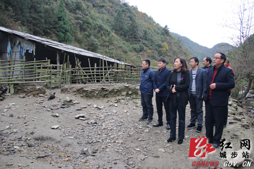 陈文华深入汀坪乡调研基层党建脱贫攻坚工作(图1)