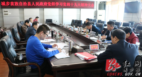 城步政府党组专题学习传达党的十九大精神(图2)