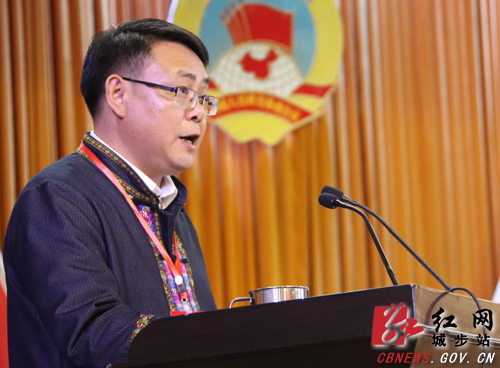 政协城步苗族自治县第十届委员会第三次会议开幕(图4)