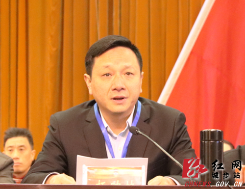 政协城步苗族自治县第十届委员会第三次会议开幕(图2)