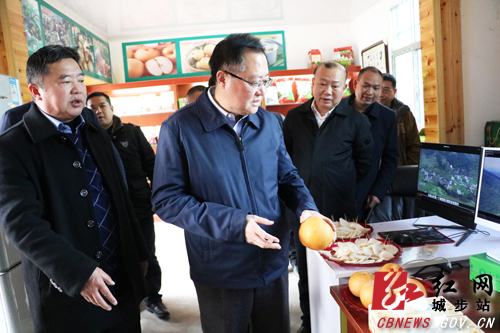 龚文密深入城步宣讲十九大精神并调研脱贫攻坚工作(图3)