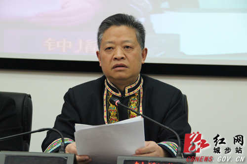 城步苗族自治县第十七届人大常委会召开第九次会议(图2)