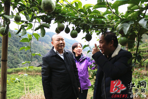 罗建南深入汀坪乡宣讲党的十九大精神(图5)