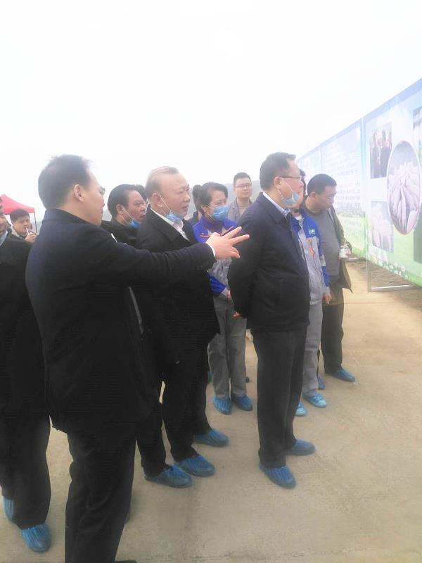 市委书记调研羴牧牧业太坪奶山羊场(图1)
