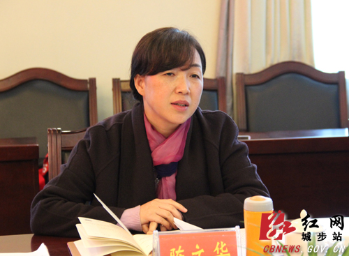 城步召开宣传思想文化工作务虚会(图2)