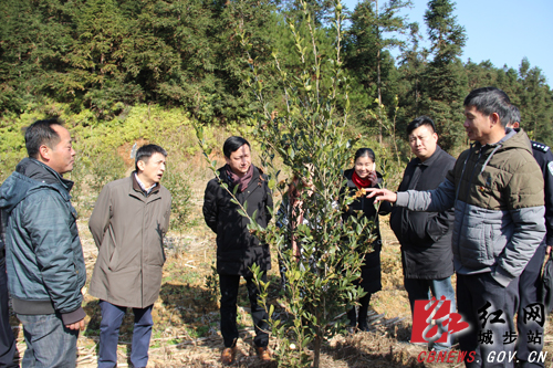 商务部情系基层扶贫干部助力城步脱贫攻坚(图2)