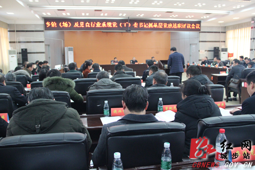 城步开展党（工）委书记抓基层党建述职评议工作(图1)