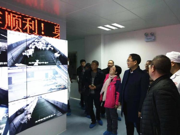 贵州省晴隆县考察城步羴牧奶山羊基地(图1)