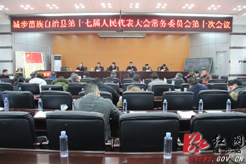 城步第十七届人大常委会召开第十次会议(图1)