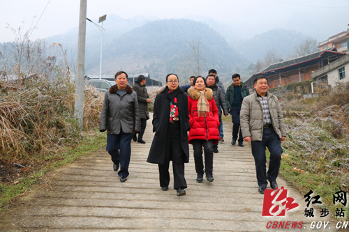 晏丽君赴城步检查扶贫攻坚等工作(图1)