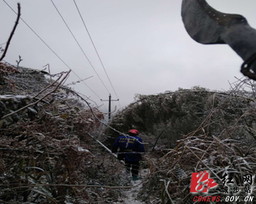 城步威溪乡鏖战冰雪畅通电力(图1)