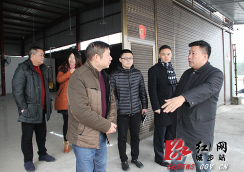 方凯督查指导城步电子商务公共服务中心建设(图3)