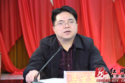 城步召开第十二届纪委第三次全会(图4)