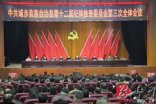 城步召开第十二届纪委第三次全会(图1)