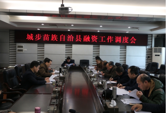 杨博理专题调度全县融资工作(图1)