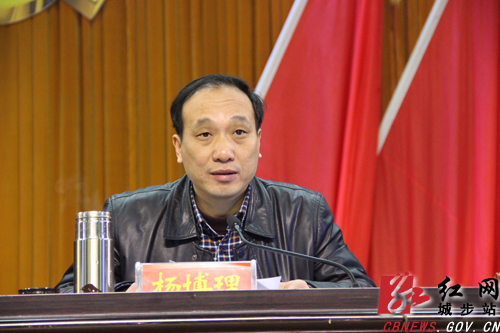 城步召开第十二届纪委第三次全会(图3)