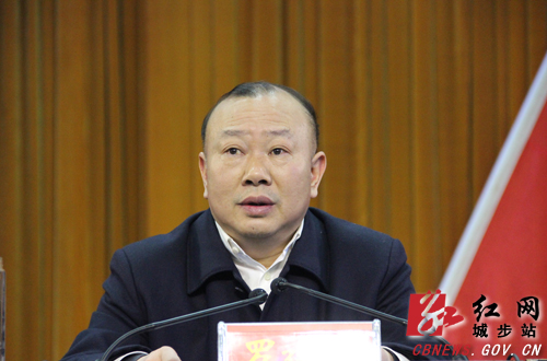 城步召开第十二届纪委第三次全会(图2)