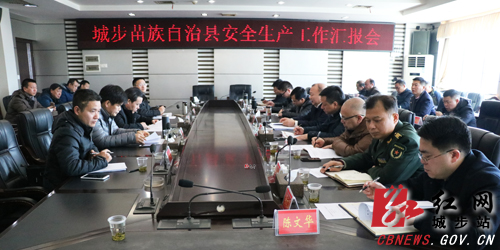 邓广雁深入城步督导安全生产工作(图4)
