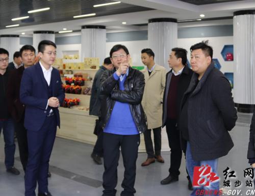 商务部对城步电子商务进行绩效考评(图3)