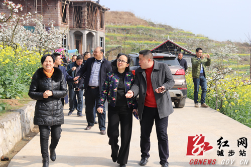 晏丽君深入城步调研旅游工作(图1)