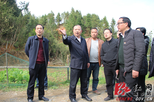 罗建南深入乡镇调研易地扶贫搬迁、生态移民、旅游扶贫等工作(图2)