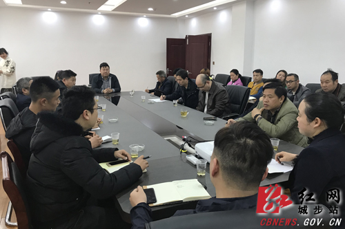 北京专家团队调研城步电商平台建设(图1)
