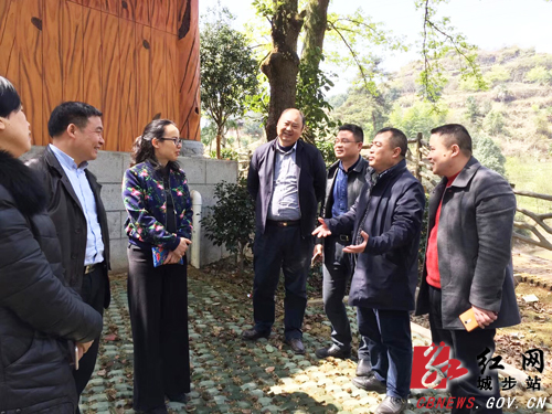 晏丽君深入城步调研旅游工作(图3)