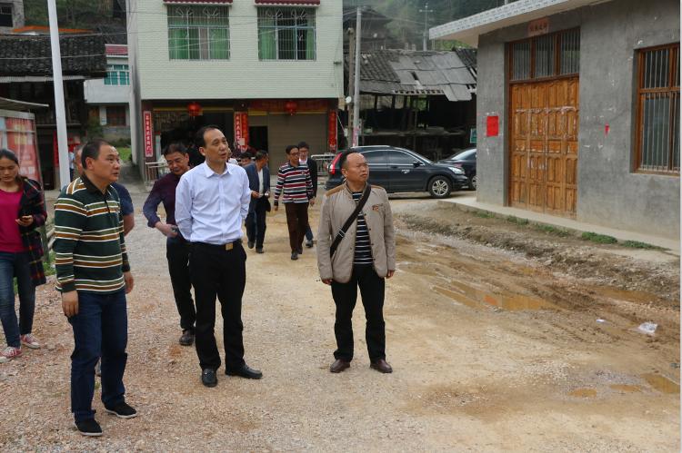 杨博理调研指导茅坪镇、土桥农场脱贫攻坚工作(图3)