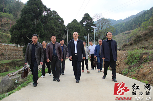 罗建南深入乡镇调研脱贫攻坚等工作(图2)