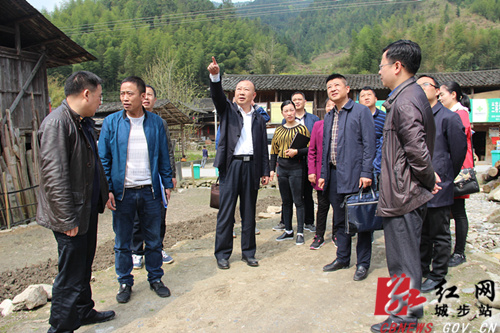 罗建南深入乡镇调研脱贫攻坚等工作(图1)