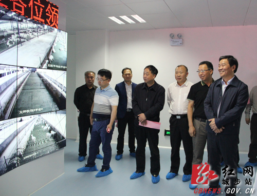 何报翔深入城步调研脱贫攻坚工作(图5)
